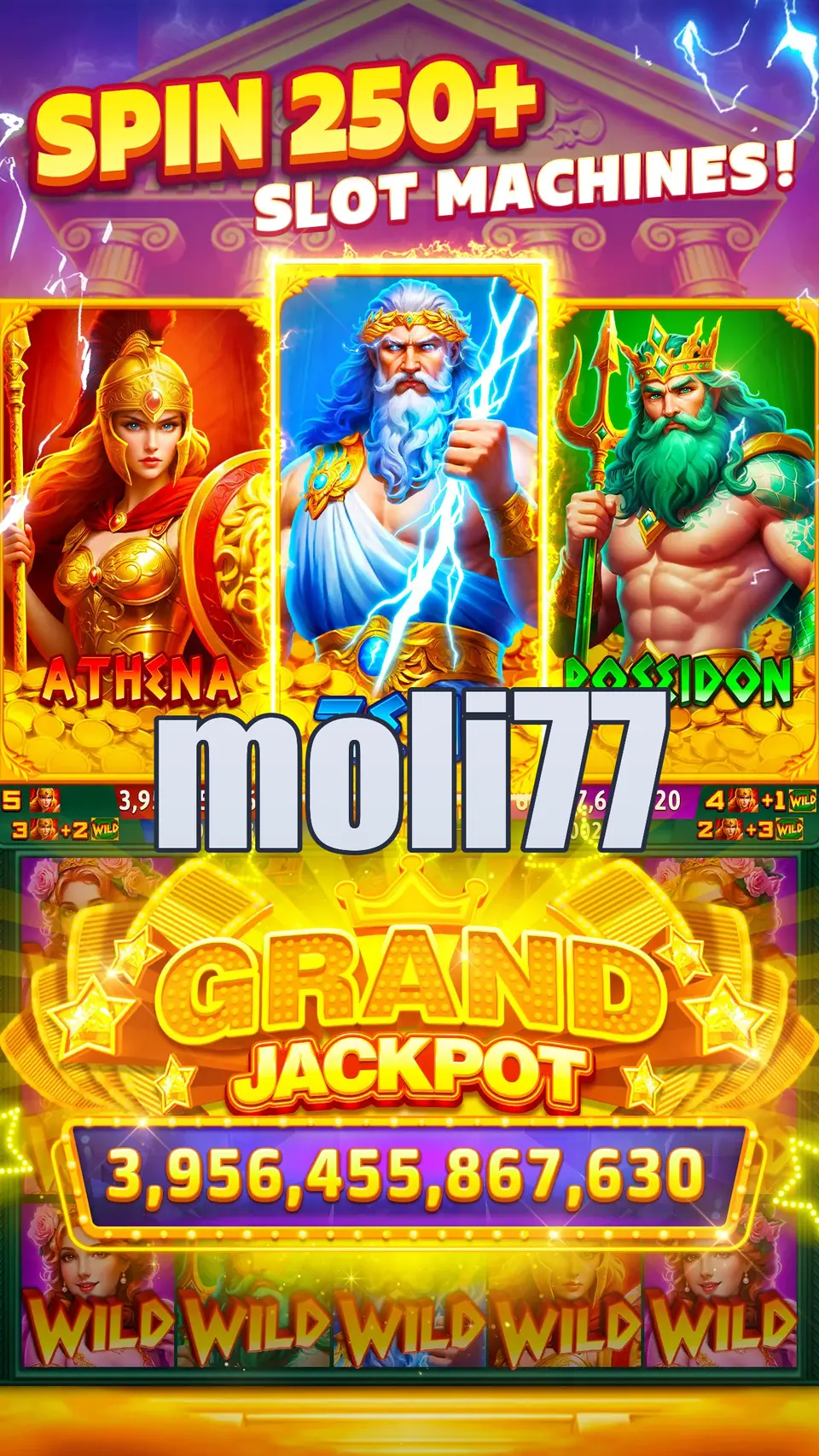 moli77 Masuk